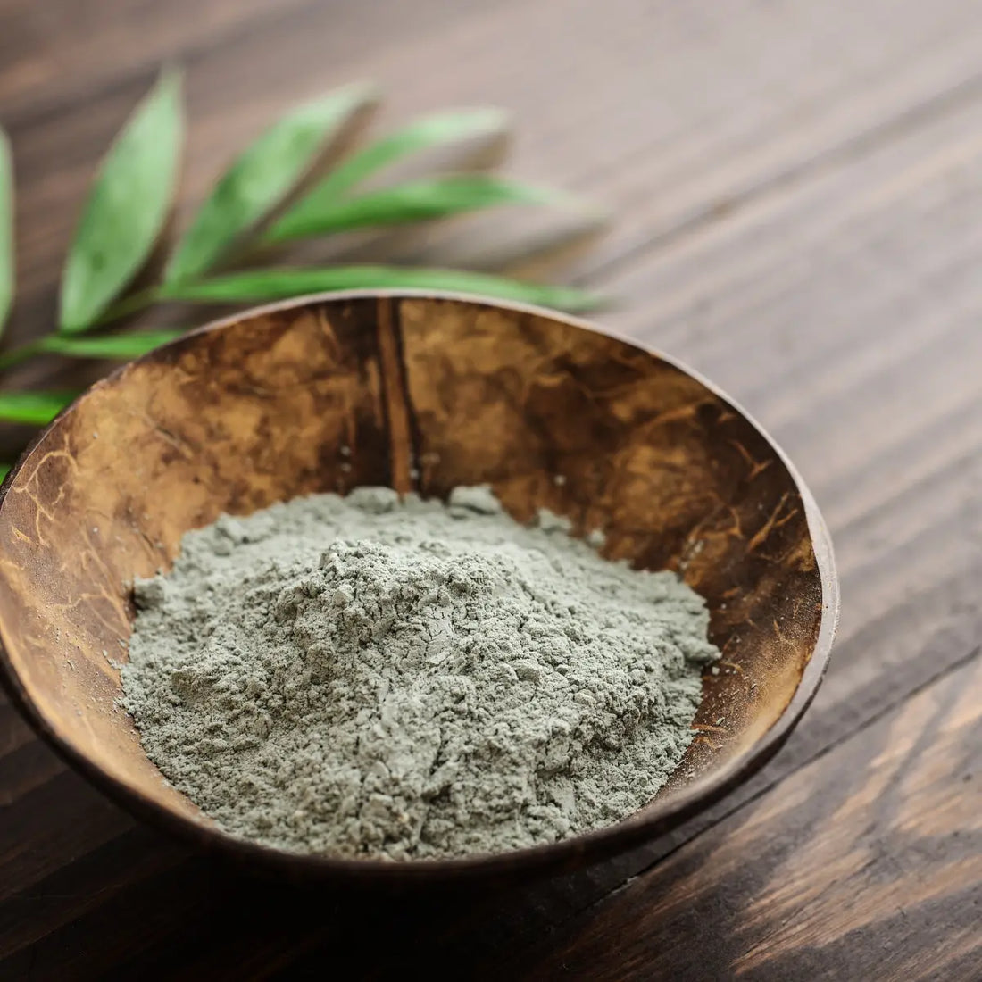 L’argile verte pour soulager ses douleurs