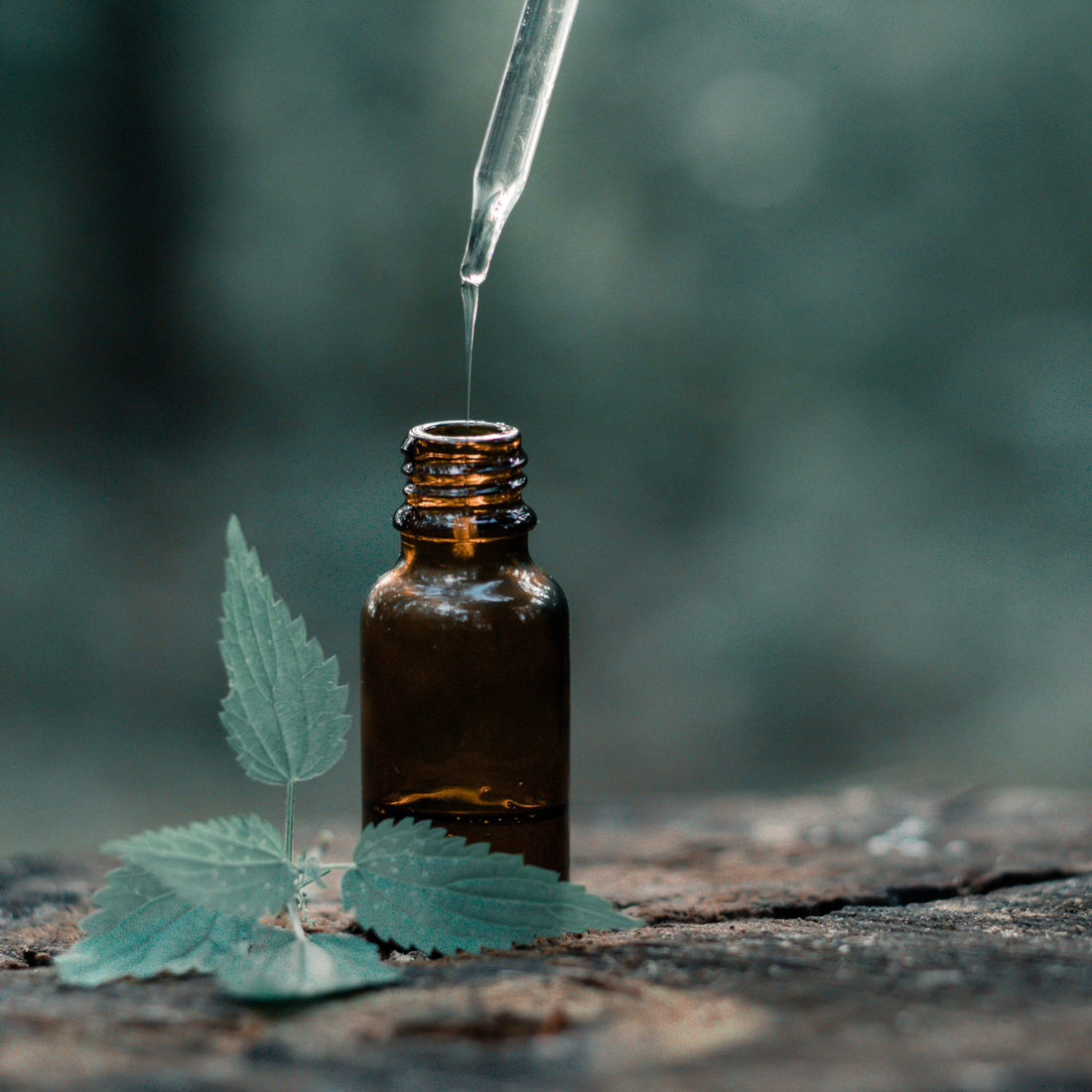 L'aromathérapie : les huiles essentielles au service de votre bien-être