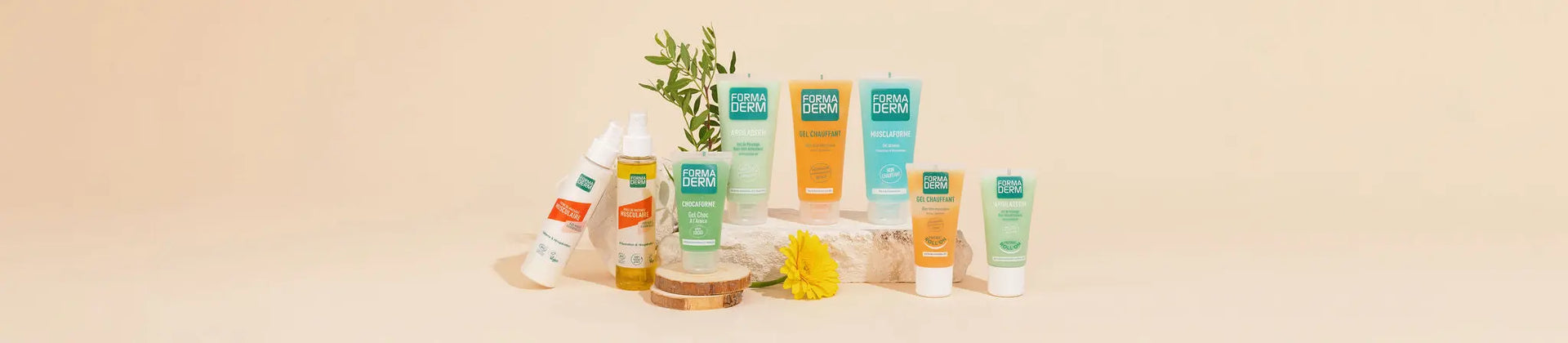 Articulations & muscles