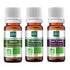 KIT HUILES ESSENTIELLES RESPIRATION GORGE